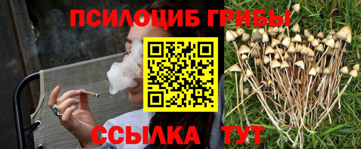 Псилоцибиновые грибы Psilocybine cubensis Чайковский